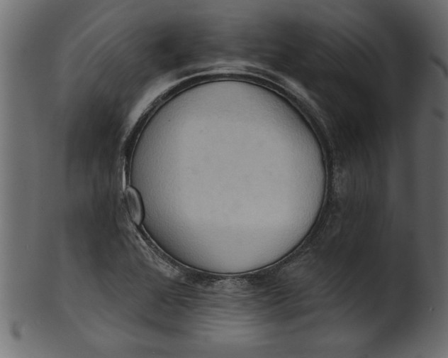 X0000101211368200807181408