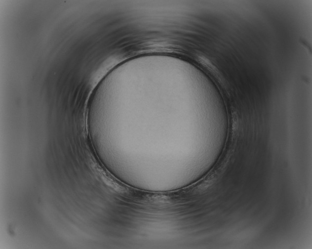 X0000101211370200807181408