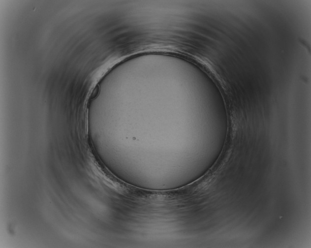 X0000101211371200807181408