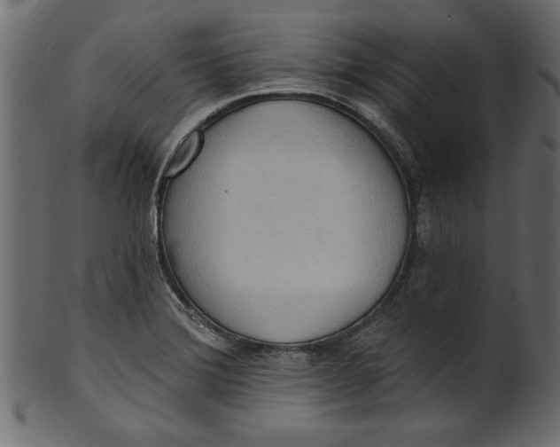 X0000101211372200807181408