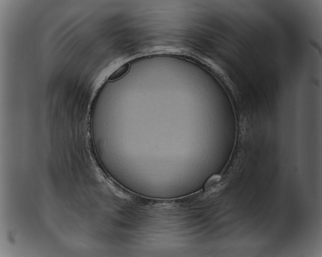 X0000101211373200807181408