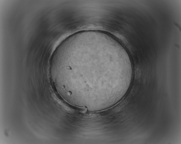 X0000101211374200807181408