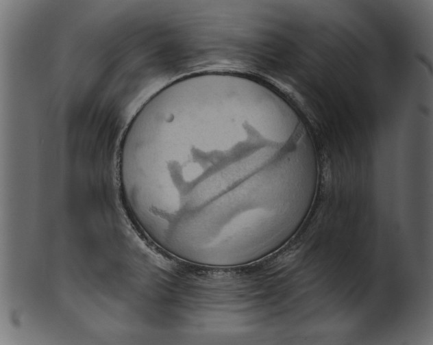 X0000101211375200807181408