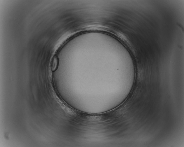 X0000101211376200807181408