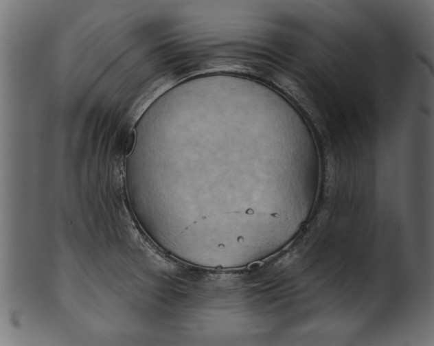 X0000101211377200807181408