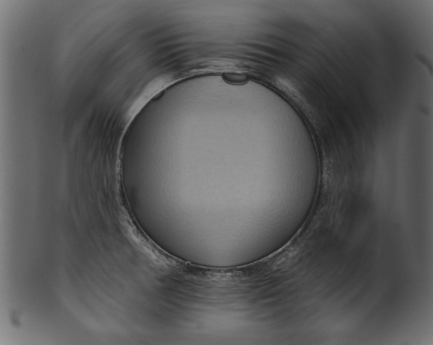 X0000101211378200807181408