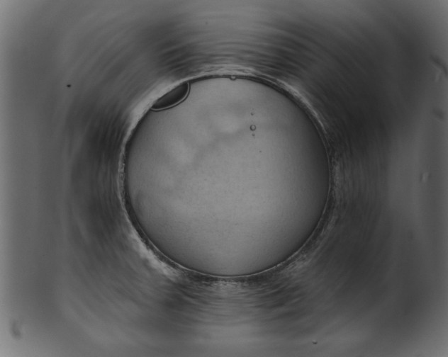 X0000101211379200807181408