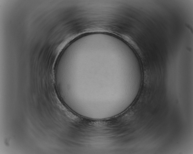 X0000101211380200807181408