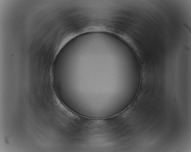 X0000101211382200807181408