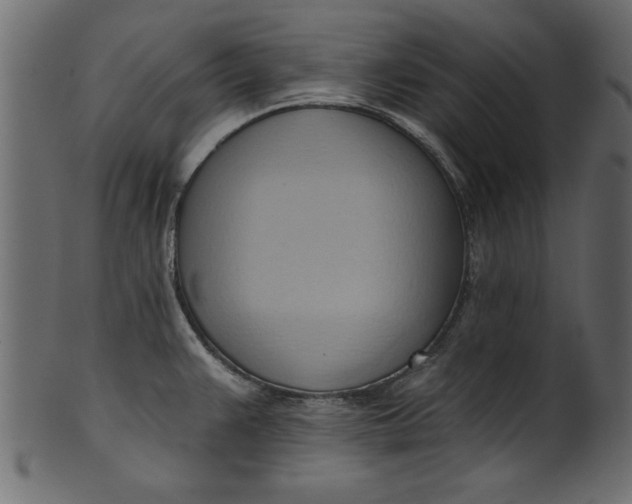 X0000101211383200807181408