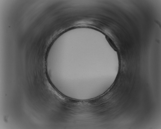 X0000101211384200807181408