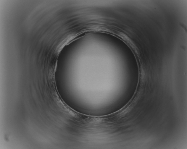 X0000101211385200807181408