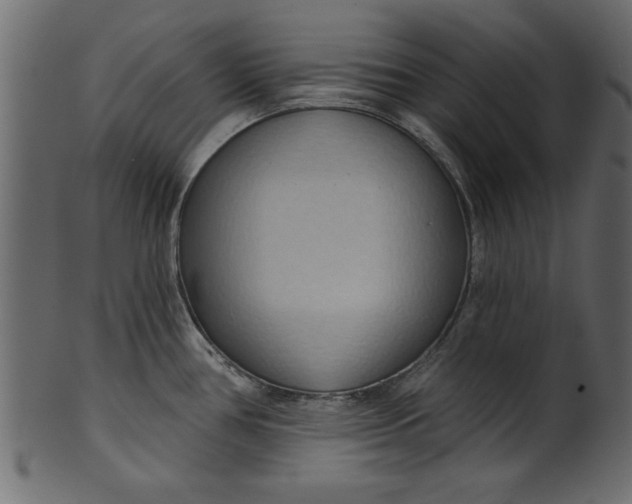 X0000101211386200807181408