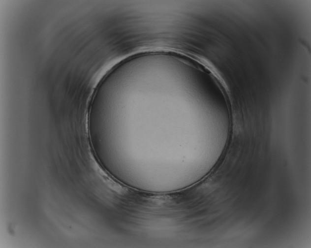 X0000101211388200807181408