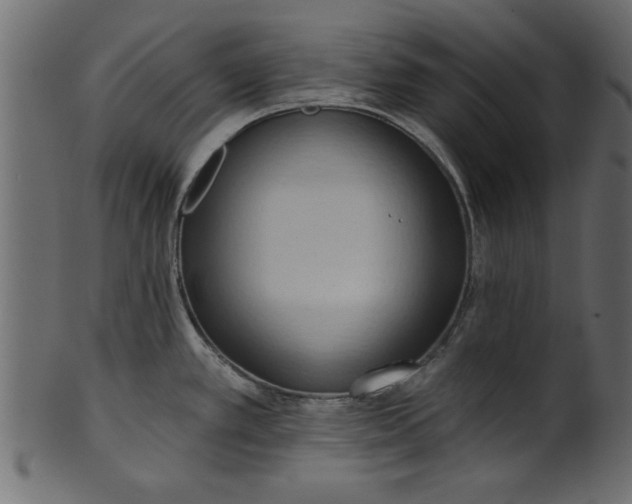 X0000101211389200807181408