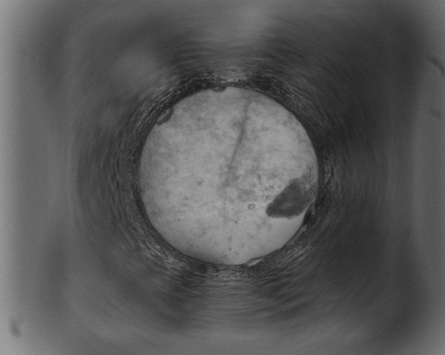 X0000101211393200807181407