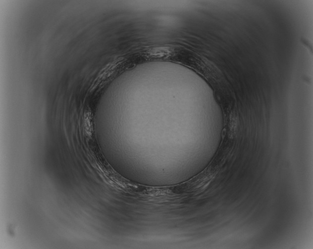 X0000101211394200807181407