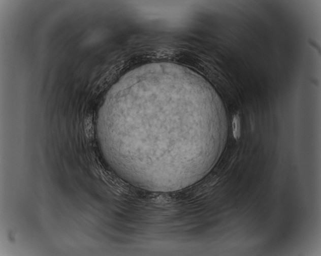 X0000101211395200807181407