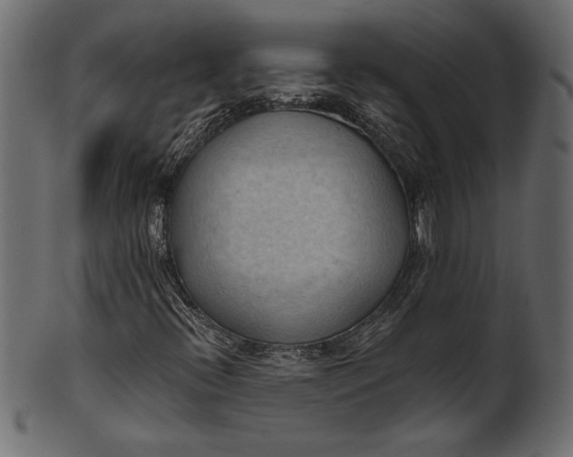 X0000101211396200807181407