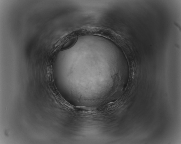 X0000101211397200807181407