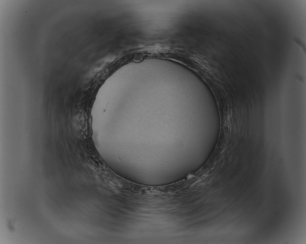 X0000101211398200807181407