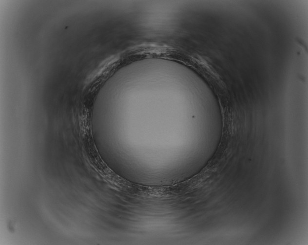 X0000101211399200807181407