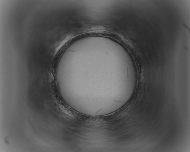 X0000101211400200807181407