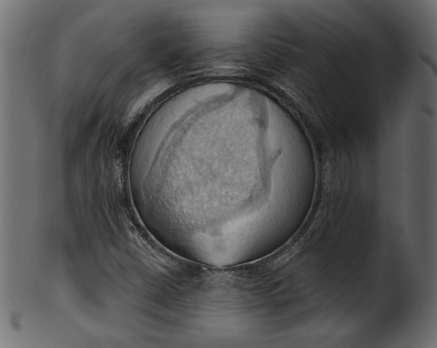 X0000101211402200807181407