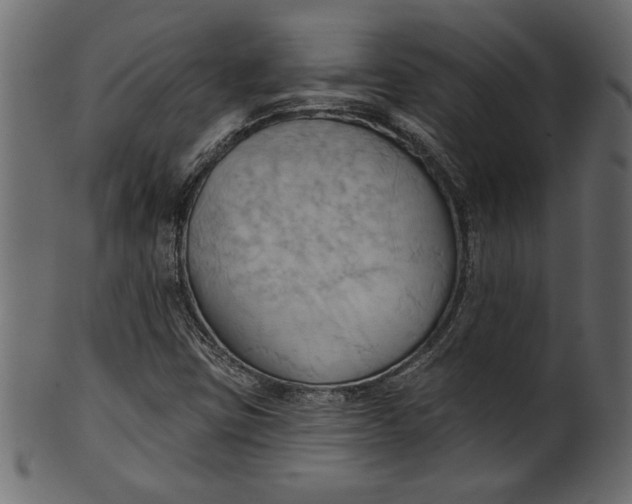 X0000101211403200807181408