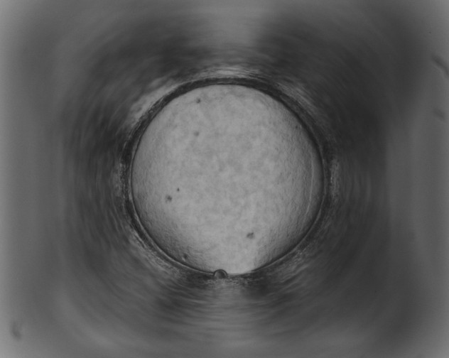 X0000101211404200807181408