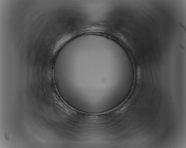 X0000101211405200807181408