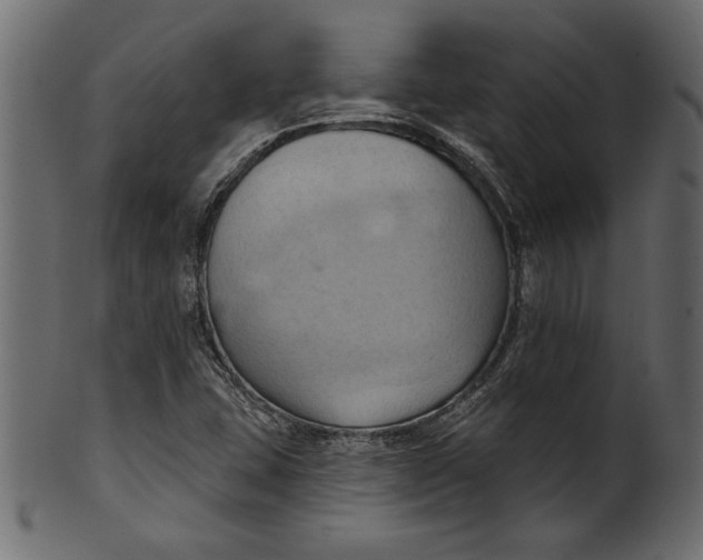 X0000101211407200807181408