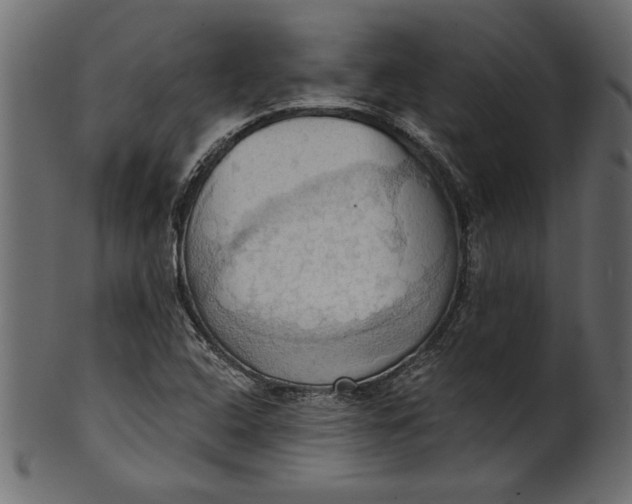 X0000101211408200807181408