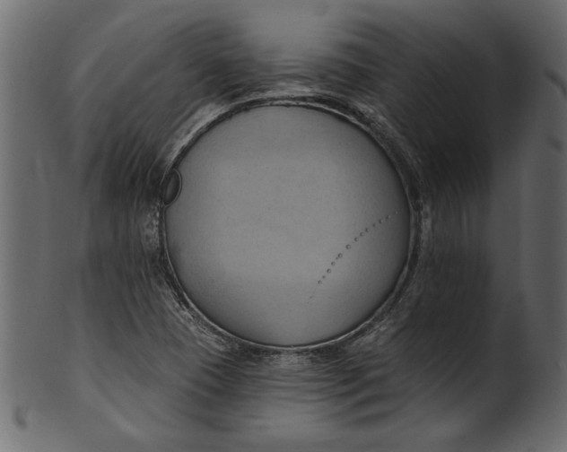 X0000101211409200807181408