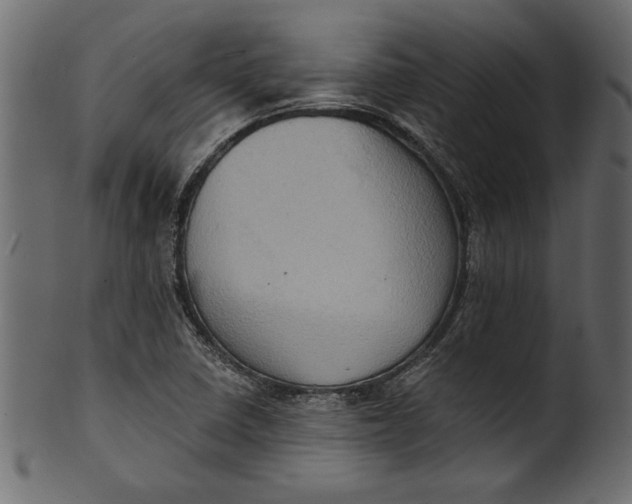 X0000101211410200807181408