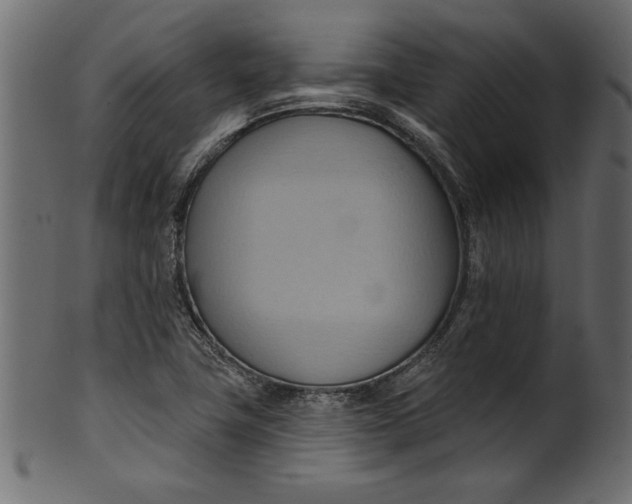 X0000101211411200807181408