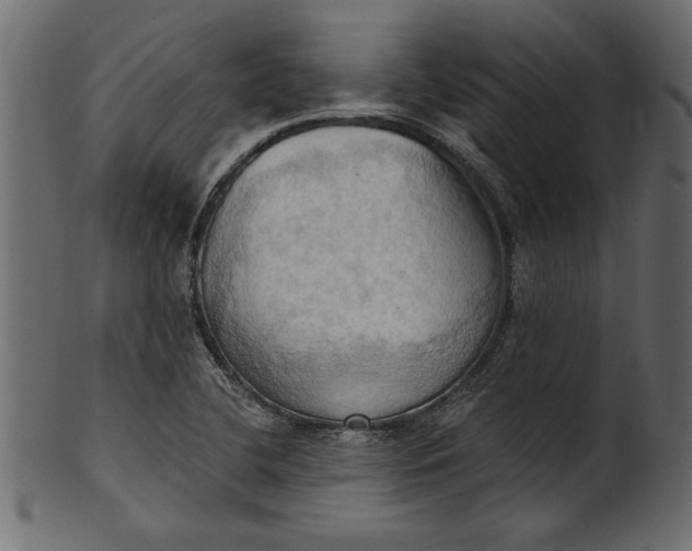 X0000101211412200807181408