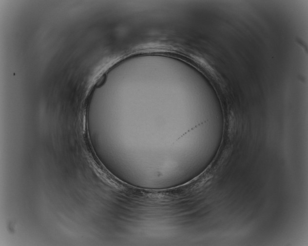 X0000101211413200807181408