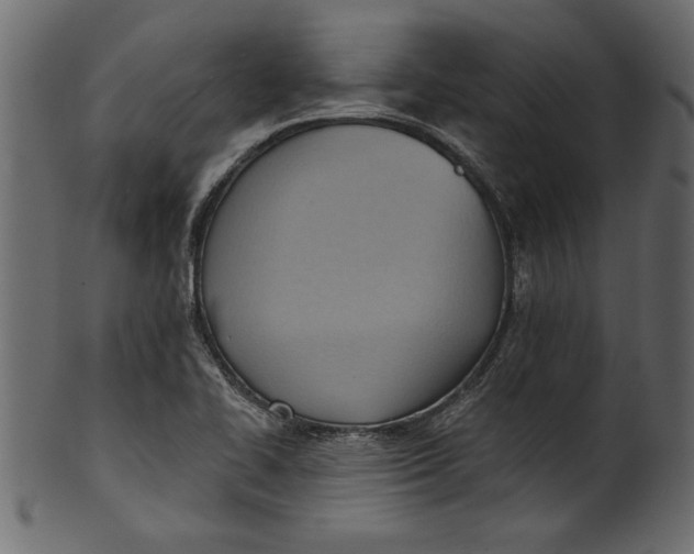 X0000101211414200807181408