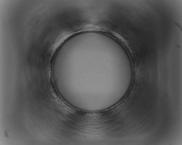 X0000101211415200807181408