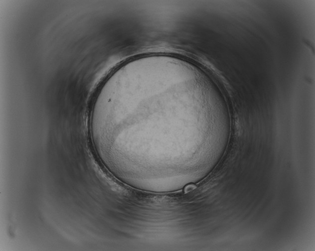 X0000101211416200807181408