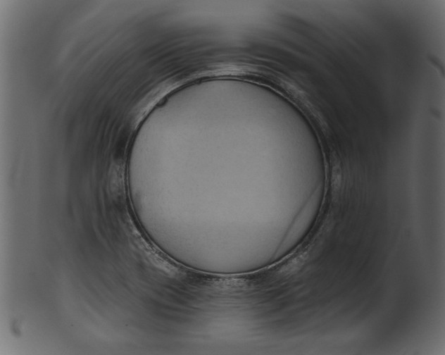 X0000101211417200807181408