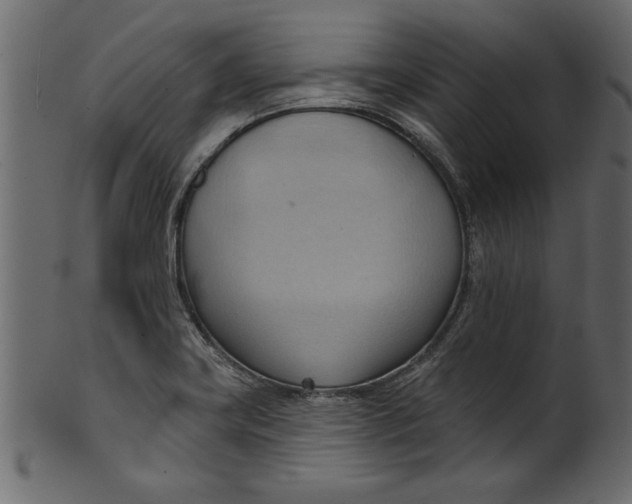 X0000101211419200807181408