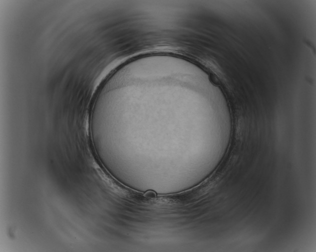 X0000101211420200807181408