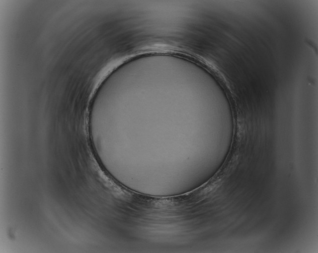 X0000101211421200807181408