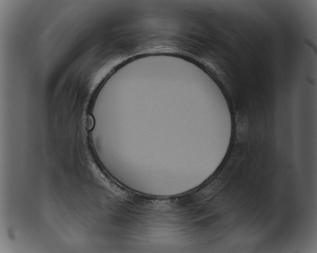 X0000101211422200807181408