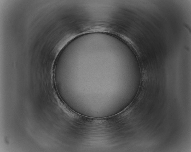 X0000101211423200807181408