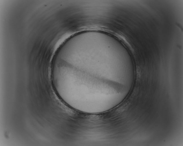 X0000101211424200807181408