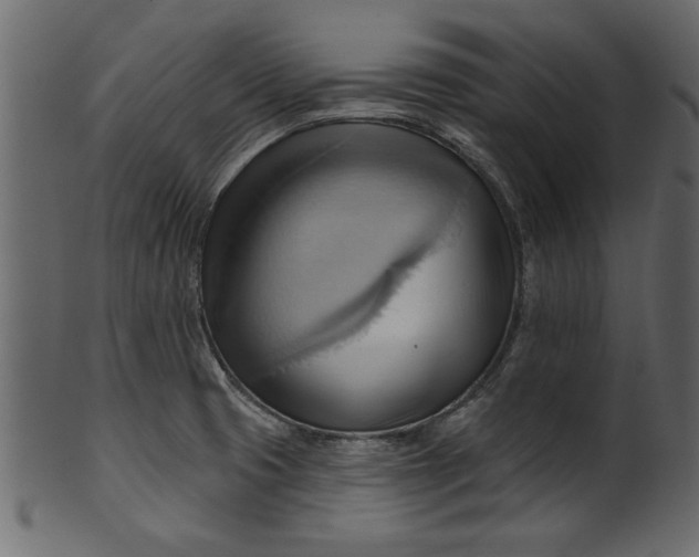 X0000101211425200807181408