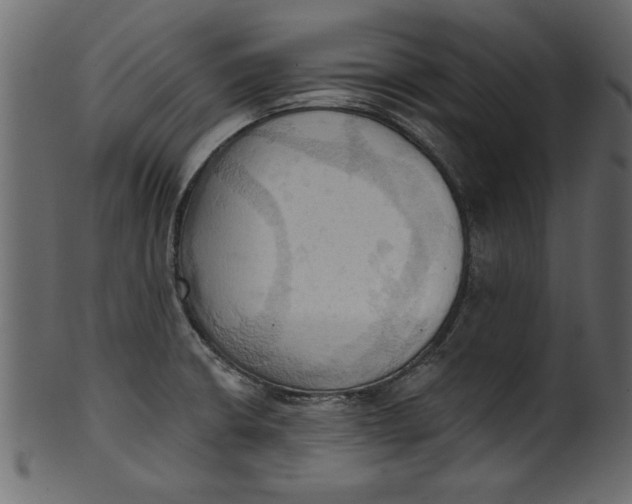 X0000101211426200807181408